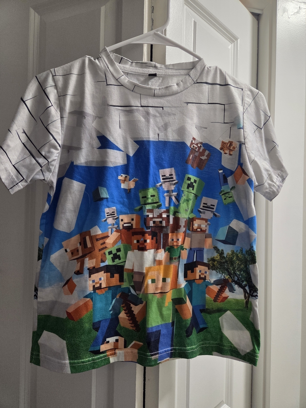 Minecraft Boys White & Blue Graphic Crew Neck Tee
